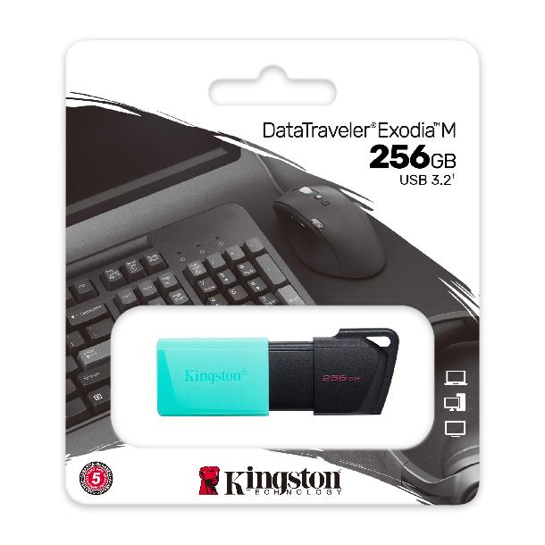 Pen drive 256 gb